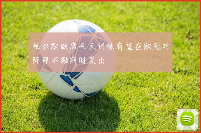 帕尔默缺席两天训练有望在欧冠对阵那不勒斯时复出