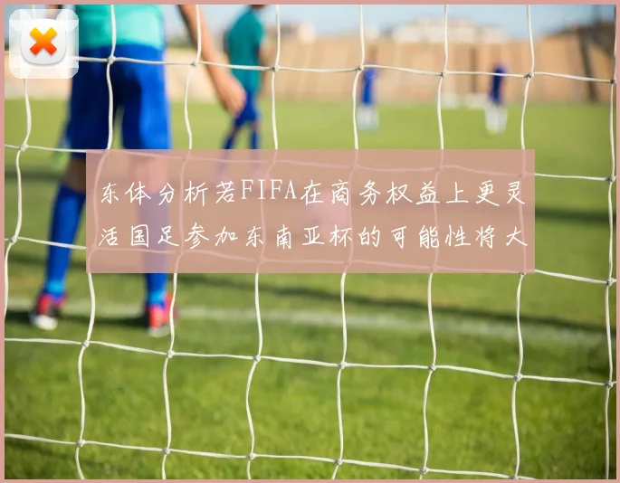 东体分析若FIFA在商务权益上更灵活国足参加东南亚杯的可能性将大增